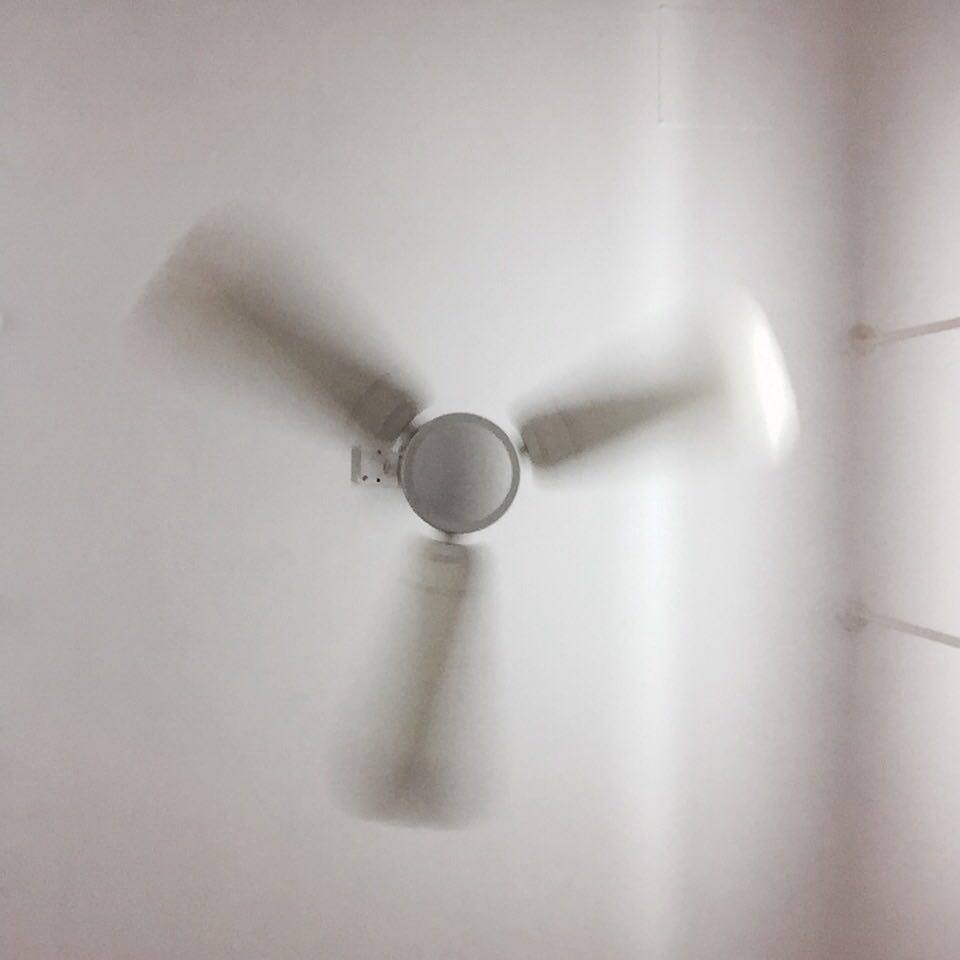 fan