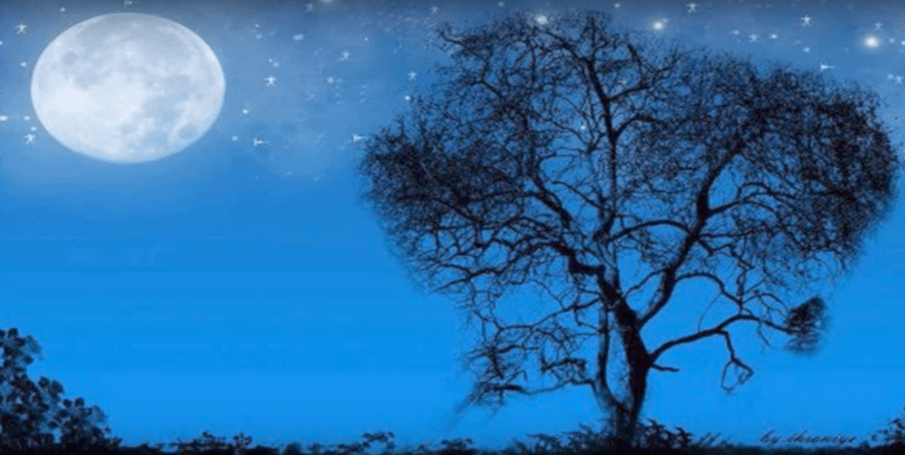 Moonlight.png