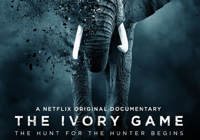 the-ivory-game-film-poster.jpg